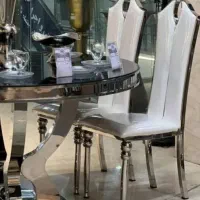 صندلی استیل دینا/تالار/باغ تالار/رستوران