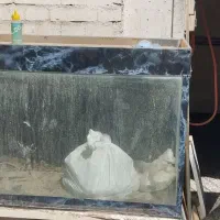 اکواریوم