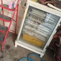 دستگاه جوجه کشی