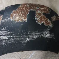 کاپوت ۲۰۶  و ۱۰متر سیم بکسل
