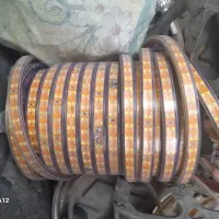 ریسه شلنگی زرد