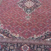 فرش|فرش|کوهنانی, |دیوار