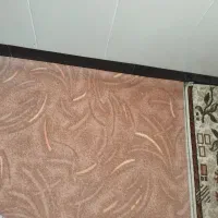 موکت|موکت|نهاوند, |دیوار