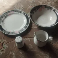 ظرف پذیرایی