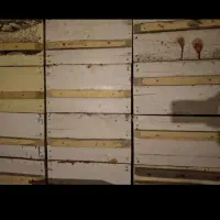 کندو کفه باز قطر ۳ سانت هم نوع هم کارکرده