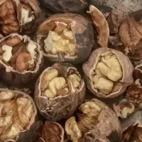 (۸تن بادام گردو امسالی)لوبیاعدس کشمش برنج گوشت دنب