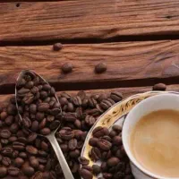 اموزش باریستا و بارتندر