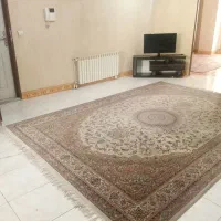 فرش بسیار زیبا با قیمت مناسب