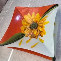 ظرف پذیرایی شیشه ای نو