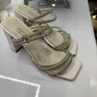 کفش مجلسی