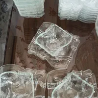 ظروف پذیرایی