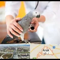 کلینیک دامپزشکی(شبانه روزی)