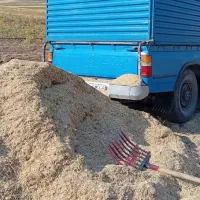 خریدار کاه نخود و گندم