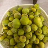 انجیر تازه چین