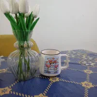 ماگ سرامیکی