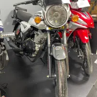 باکسر ۲۰۰ همتاز خشک از دم