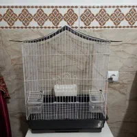 قفس پرنده زیر قیمت