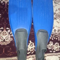 فین