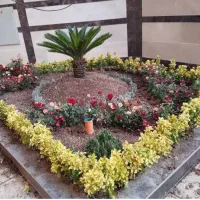 خدمات باغبانی باغچه کاری کاشت گل و گیاه خاک گلدون