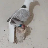 پیام بده