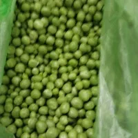 نخود فرنگی و باقالی اعلا بشرط