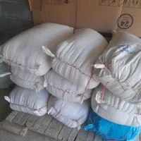 گندم داس رن