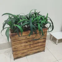 باکس فلاور چوب روس