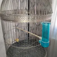 قفس پرنده