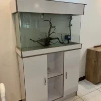اکواریوم