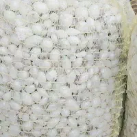 تعداد23توری 20 کیلویی پیاز راتا پاکتی سفید