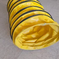 تونل بازی سگ و گربه