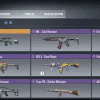 اکانت دی ال هالیدی