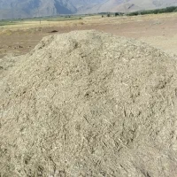 کاه باقله