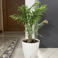 گل با گلدان