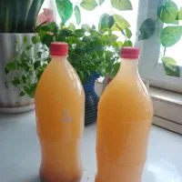 سرکه سیب ارگانیک