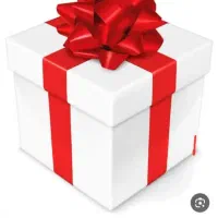 بیت پین
