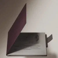 ریمارکبل پیپر پرو