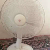 پنگه پارس خزر تمیز و سالم فقط تماس بگیرید