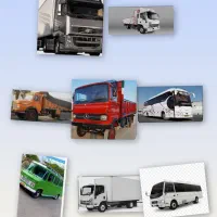 صدور پروانه برای راننده و کامیون