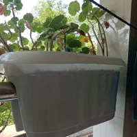 گلدون نرده ای