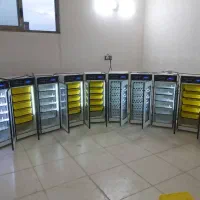 دستگاه جوجه کشی * از همـه پرندگــان zinate