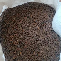 400کیلو لوبیا سبز برزی پاک کرده خارجی