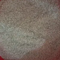 برنج کامفیروز