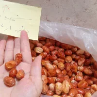 سنجد ممتاز اعلا و متوسط