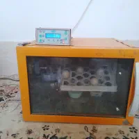 دستگاه جوجه کشی مشهد برق