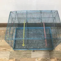 قفس