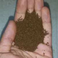 انواع غذا ماهی