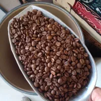 قهوه  گلد عربیکا میکس روبستا ویژه
