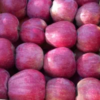 سیب ممتاز سیلوانا