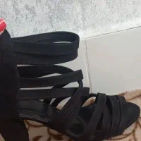 کفش مجلسی